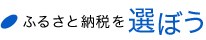 ふるさと納税を選ぼう